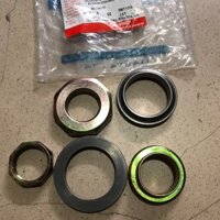 Bộ chén cổ xe Shark hãng Sym