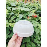 Bộ Chén sứ 10 cái trắng cao cấp