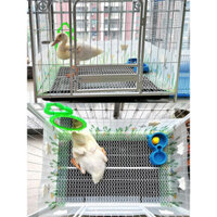Bộ chia lồng vịt Cole, chống bắn nước cho vẹt, gà con, lồng chim chim cút, bảng xung quanh cho chuột lang