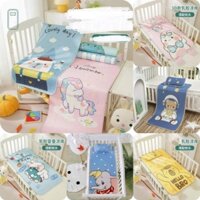 Bộ Chiếu Điều Hòa Cao Su Non Kèm Gối 5D Cho Bé / Nhiều Mẫu