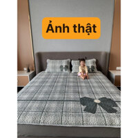 Bộ Chiếu Điều Hoà Cao Su Non 5D CHIC STUDIO Dày Đẹp Kèm Túi Xách