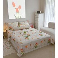 Bộ Chiếu Điều Hòa Cao Su Non Min Min 2024 - Mát Lạnh, Thoáng Mát Tặng Kèm Vỏ Gối Ôm