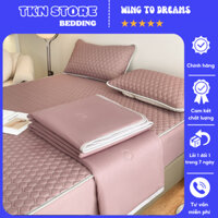Bộ chiếu điều hoà cùng chăn thun lạnh chất siêu mềm mượt mát lạnh cao cấp,Set Chiếu cao su bo chun 4 món mẫu mới 2023