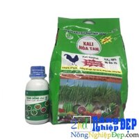 Bộ Chống Rét Cho Lan - kali Sulfat - nano Đồng