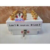 BỘ CHUYỂN LOA ( 1 Ampli - 2 Loa )
