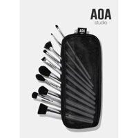 BỘ CỌ AOA 10-PIECE BON VOYAGE BRUSH SET