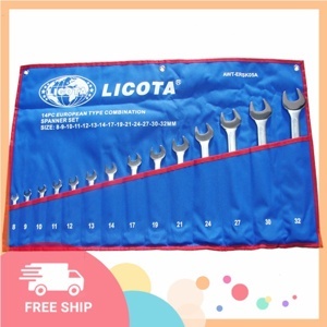 Bộ cờ lê vòng miệng Licota AWT-ERSK05A (8-32mm)