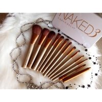 Bộ Cọ Naked3 ( 12 cây )