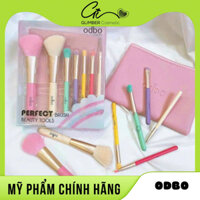 Bộ Cọ Trang Điểm Cá Nhân Cao Cấp Kèm Túi ODBO - Cọ Trang Điểm Má Hồng, Mắt Và Môi