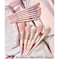 Bộ Cọ Trang Điểm Make Up Celin 12 Cọ Lông Thú Siêu Mềm Mịn Kèm Bao Da Màu Hồng