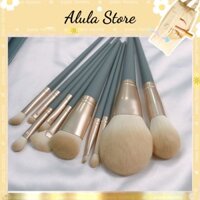 Bộ cọ trang điểm nội địa Trung che khuyết điểm tạo khối đánh mắt cá nhân 10 cây ALULA màu xanh dương