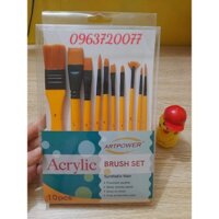 BỘ CỌ VẼ MÀU ACRYLIC, Màu nước SET 10 CÂY (ZYY-10PC)