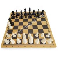 Bộ cờ vua nhựa tiêu chuẩn và bàn gỗ (tặng kèm hậu mỗi bên)