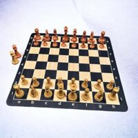 Bộ cờ vua quốc tế Staunton chess set cao cấp chất liệu nhựa giả gỗ sang trọng bền bỉ - Mã CV044