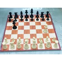 Bộ cờ Vua tiêu chuẩn nhựa HY + Tặng thêm 2 quân Hậu (bàn cờ simili giả vân Gỗ)