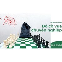 BỘ CỜ VUA TIÊU CHUẨN (Thêm túi đựng)