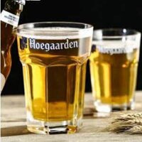 Bộ cốc Hoegaarden 33 cl x 6 ly – 1 bộ hình lục giác chính hãng nhập khẩu từ Bỉ nguyên thùng