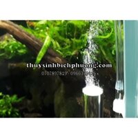 BỘ CỐC SỦI CO2 THUỶ TINH SIÊU MỊN + VAN CHIỀU