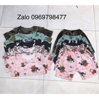 bộ cộc tay bé trai size từ 6-20kg bán theo combo 5bộ một sét chất liệu vải cotton xuất mềm mịn thoáng mát