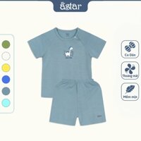 Bộ cộc tay cài chéo ASTAR in hình,vải petit cotton rayon co giãn,thấm hút,mát,cho bé trai,gái 9th-6t