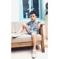 Bộ cộc tay cho bé trai bé gái mặc hè chất thun lạnh họa tiết hoạt hình dễ thương _Quần áo trẻ em thun lạnh tay cộc