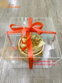 Bộ cơi trầu mạ vàng + Bộ cau 5 dát vàng kèm hộp Mica trong có buộc nơ làm quà tặng