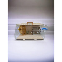 bộ cômbô lồng gỗ mika để bàn và bộ chăm bé hamter