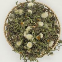 Bồ Công Anh khô 1kg