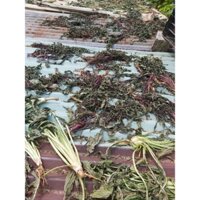 Bồ công anh khô nhà trồng sạch 100% túi 250gram