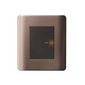 Bộ công tắc 2 cực 20A Schneider E8431D20_SZ_G19