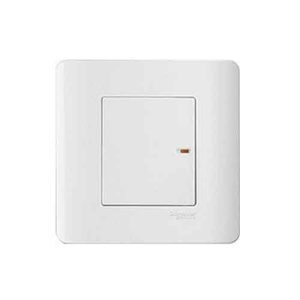 Bộ công tắc 2 cực 20A Schneider E8431D20_SZ_G19