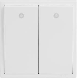 Bộ công tắc đôi 1 chiều Simon 701023