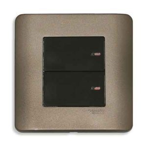 Bộ công tắc đôi 1 chiều Zencelo Schneider E8432_1_SZ_G19