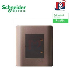 Bộ công tắc đôi 2 chiều Zencelo Schneider E8432_2_SZ_G19