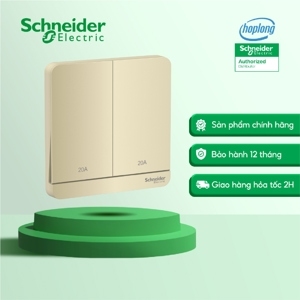 Bộ công tắc đôi 2 cực 20A Schneider E8332D20N_WG