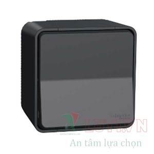 Bộ công tắc đơn 2 cực 16AX MUR35033