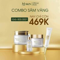 bộ cốt nám sâm vàng mq dkin