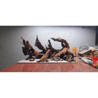 Bố cục thủy sinh lũa san đá 80 40 40