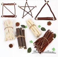 Bó củi khô 10 cây 20cm - Trắng