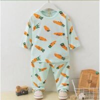 Bộ dài cotton xuất Hàn mới nhất hàng Quảng Châu - Xanh Dương,75130