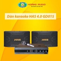 Bộ dàn karaoke gia đình HAS 4.0 GD01S