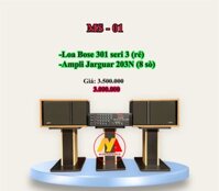 Bộ dàn Karaoke Nghe nhạc Gia đình Gồm Âm ly Jaguar PA 203N + Đôi loa BOSE 301 Seri III + Micro