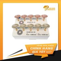 Bộ đánh bóng Composite Footise 4669 - Komet