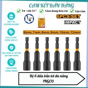 Bộ đầu bắn tôn đa năng 6 chi tiết Ingco AMN65061
