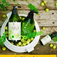 Bộ dầu gội AMLA ORGANIC