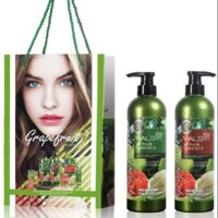Bộ dầu  gội bưởi grapefruit