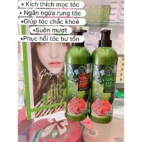 Bộ DẦU GỘI BƯỞI GRAPEFRUIT GIÚP MỌC TÓC 145k