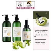 Bộ dầu gội bưởi Pomelo Cocoon 310ml Dầu xả bưởi Pomelo 310ml Xịt dưỡng tóc tinh dầu bưởi Cocoon Pomelo Hair Tonic 140ml
