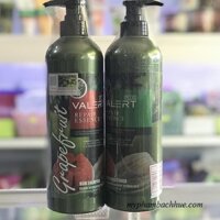 Bộ Dầu Gội Grapefruit Valert Chính Hãng – Kích Thích Mọc Tóc Mẫu Mới