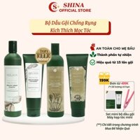 Bộ dầu gội Weilaiya chính hãng tinh chất gừng Dgg131 ngăn giảm rụng tóc kích thích mọc tóc dành cho da dầu khô gàu